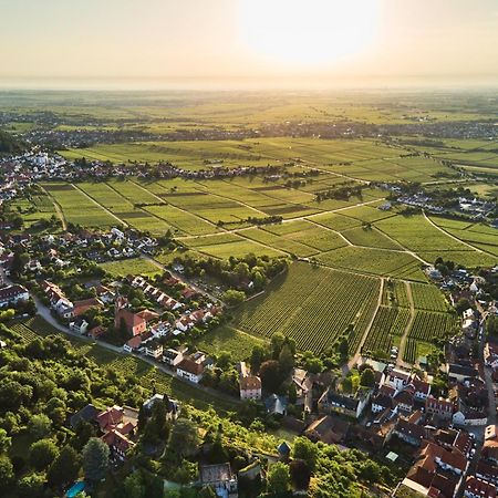 Weinzeit13 Apartman Neustadt an der Weinstraße Kültér fotó